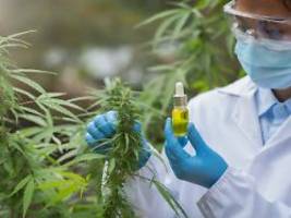 Rauschmittel vor dem BGH: Keine Werbung für Cannabis-Behandlung im Internet